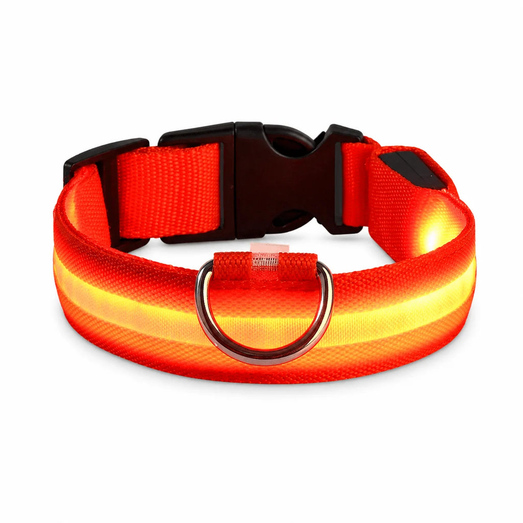 LED-halsband för hund i orange som lyser, med svart spänne och D-ring i metall