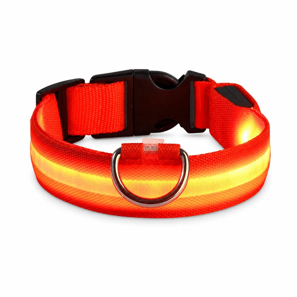 LED-halsband för hund i orange som lyser, med svart spänne och D-ring i metall