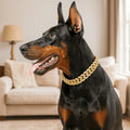 Lyxig Hundkedja i Guld