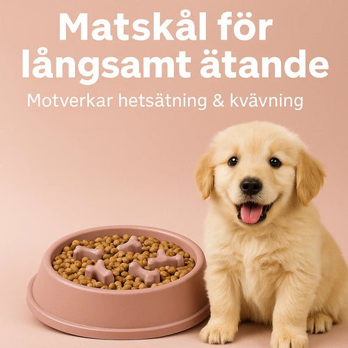 Golden retriever-valp bredvid en rosa slow feeder-skål med torrfoder, text: matskål för långsamt ätande
