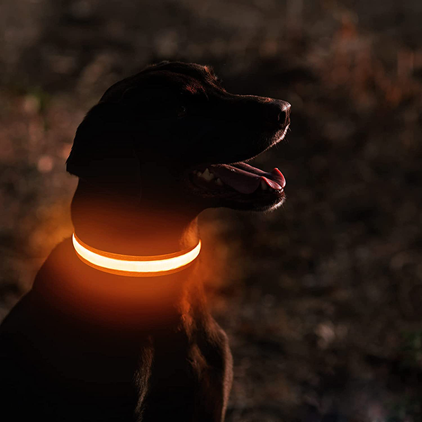 LED Necklace