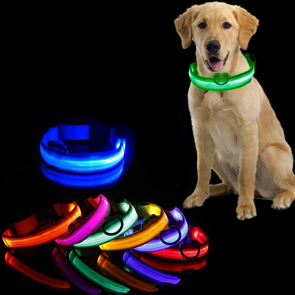 LED Halsband