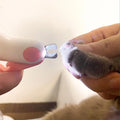 LED Klosax för Hund & Katt