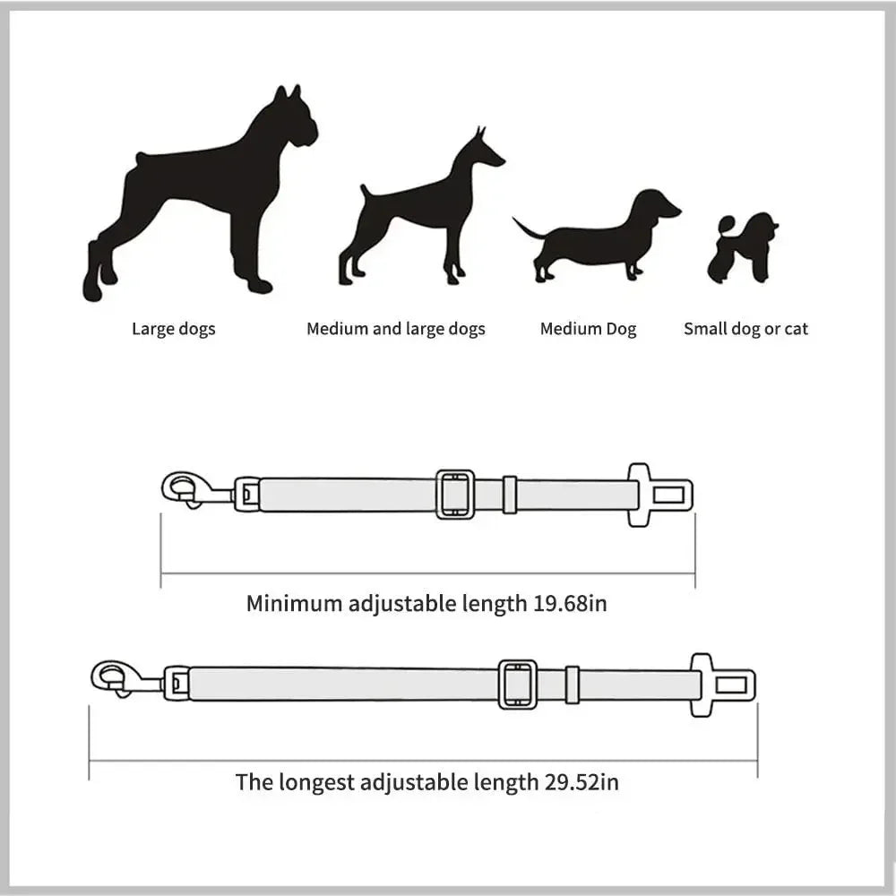 Bilbälte för Hund