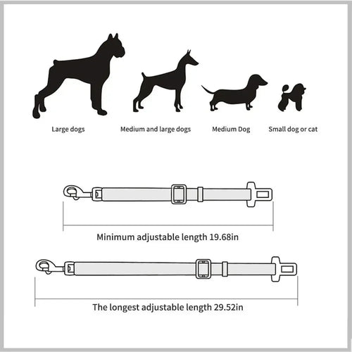 Bilbälte för Hund