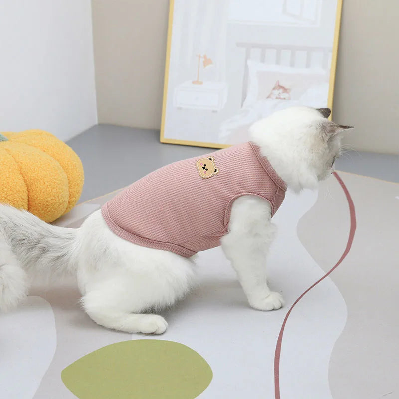 Björntröja för Katt & Liten Hund