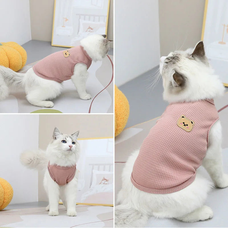 Björntröja för Katt & Liten Hund